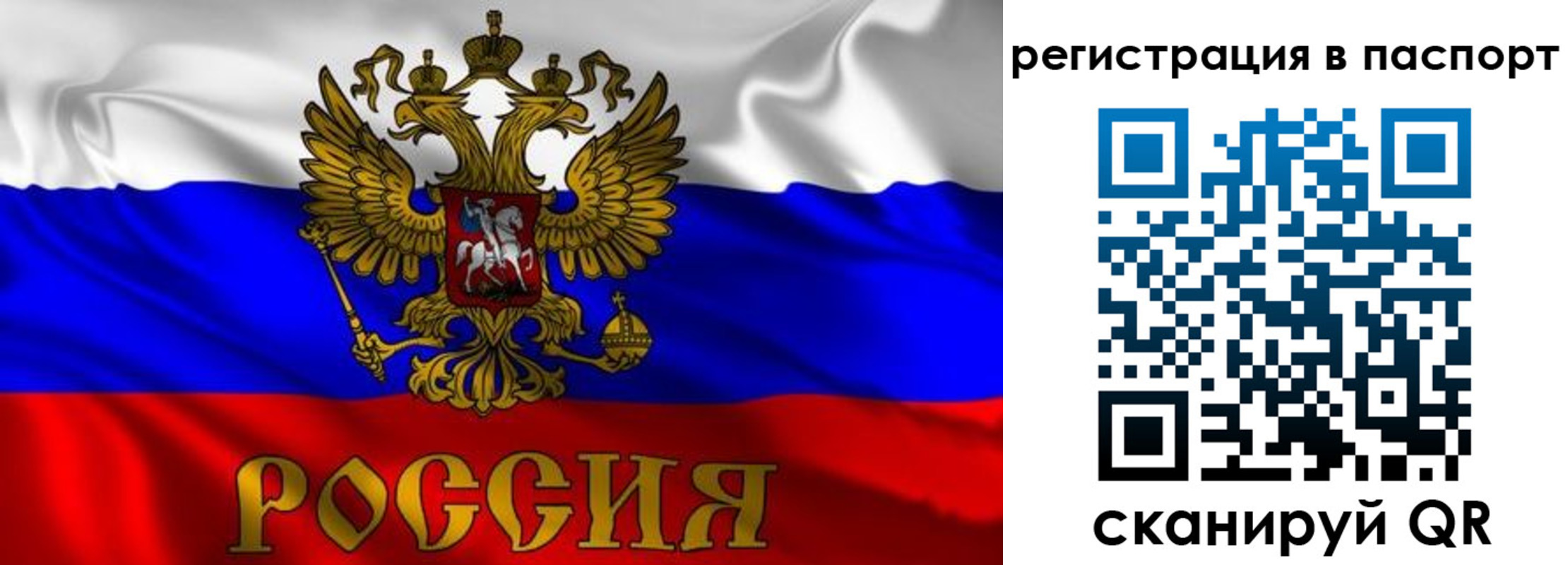 найти адрес прописки в Суздали